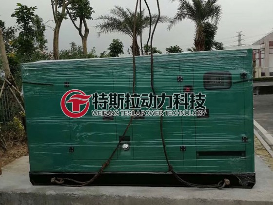 某单位在潍坊特斯拉发电机组生产厂家科技有限公司采购一台全自动静音箱发电机组一台